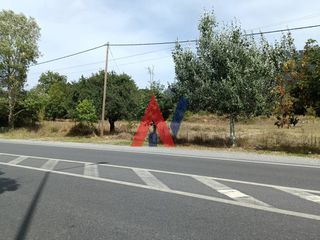 Οικόπεδο 7.800 τ.μ. για πώληση, Αρκαδία, Βιτίνα-thumb-10
