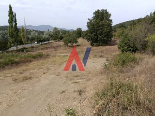 Οικόπεδο 7.800 τ.μ. για πώληση, Αρκαδία, Βιτίνα-thumb-15