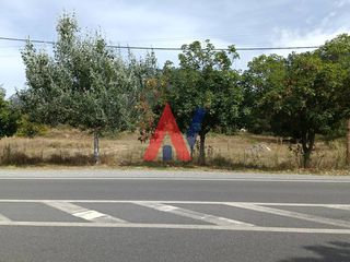 Οικόπεδο 7.800 τ.μ. για πώληση, Αρκαδία, Βιτίνα-thumb-17