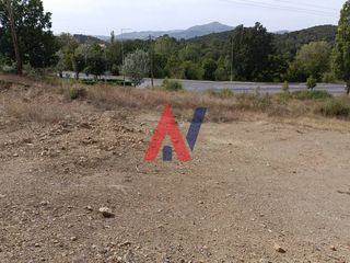 Οικόπεδο 7.800 τ.μ. για πώληση, Αρκαδία, Βιτίνα-thumb-20