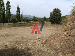Οικόπεδο 7.800 τ.μ. για πώληση, Αρκαδία, Βιτίνα-thumb-23
