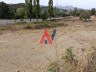 Οικόπεδο 7.800 τ.μ. για πώληση, Αρκαδία, Βιτίνα-thumb-24