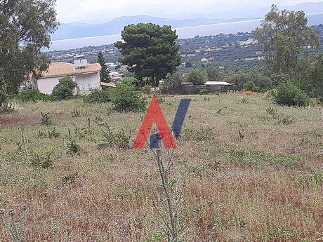 Οικόπεδο 3.500 τ.μ. για πώληση