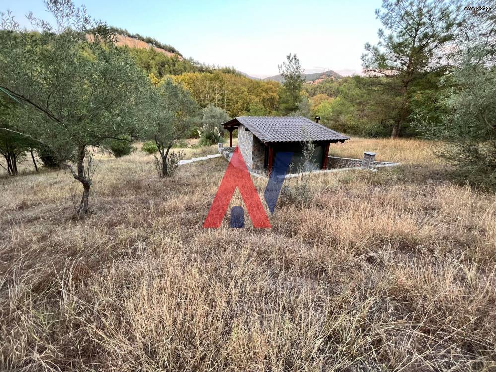 Αγροτεμάχια 13.000 τ.μ. πρός πώληση, Ν. Σερρών, Ροδολίβος
