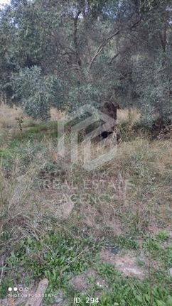 Land plot 1.290 sqm for sale, Chania Prefecture, Pelekanos