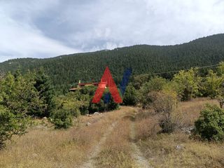 Βίλλα 150 τ.μ. για πώληση, Αρκαδία, Βιτίνα-thumb-29