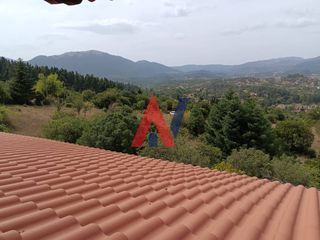 Βίλλα 150 τ.μ. για πώληση, Αρκαδία, Βιτίνα-thumb-38