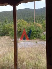 Βίλλα 150 τ.μ. για πώληση, Αρκαδία, Βιτίνα-thumb-45