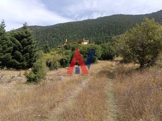 Βίλλα 150 τ.μ. για πώληση, Αρκαδία, Βιτίνα-thumb-50