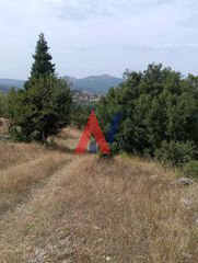 Βίλλα 150 τ.μ. για πώληση, Αρκαδία, Βιτίνα-thumb-19