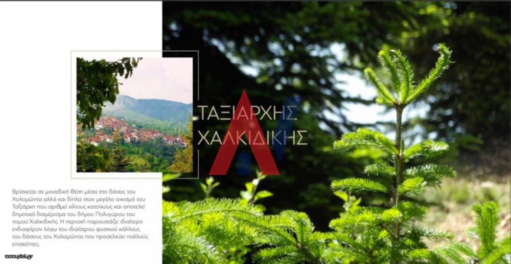 Ξενοδοχείο 600 τ.μ. προς πώληση, Ταξιάρχης Πολυγύρου