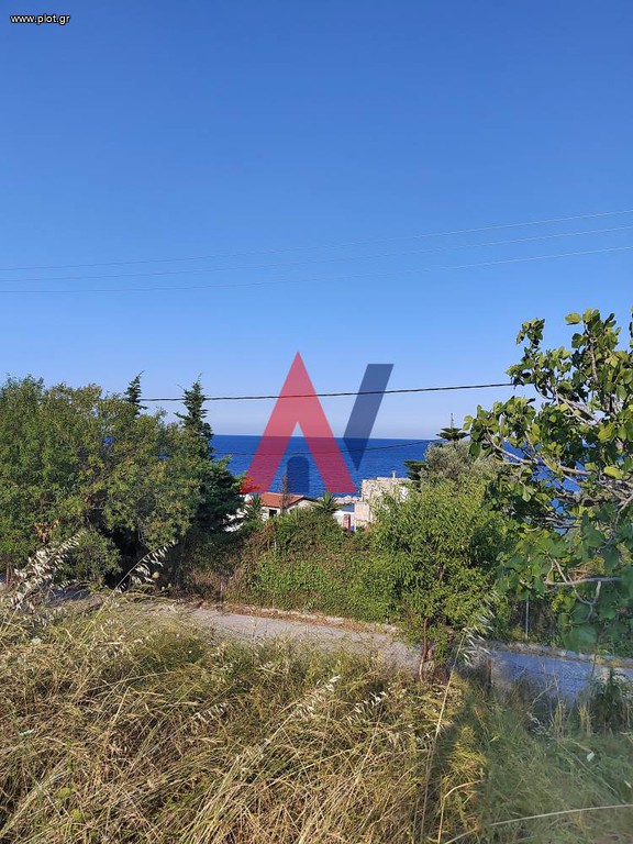 Οικόπεδο 5.000 τ.μ. για πώληση, Εύβοια, Κύμη