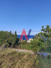 Οικόπεδο 5.000 τ.μ. για πώληση