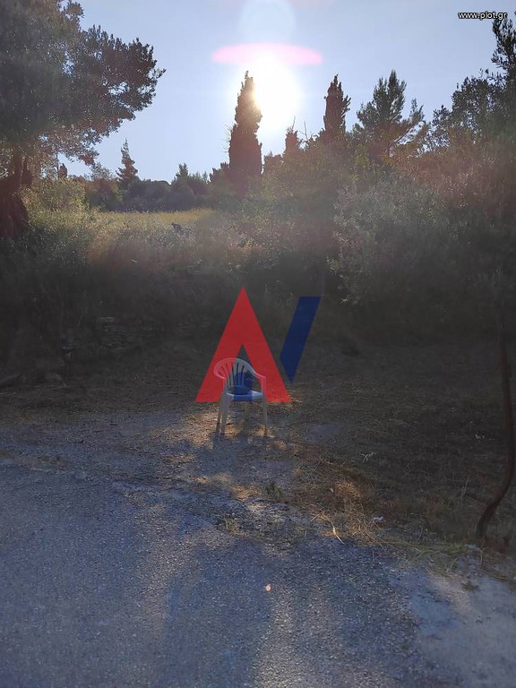 Οικόπεδο 5.000 τ.μ. προς πώληση, Πλατάνα Κύμης
