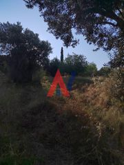 Οικόπεδο 5.000 τ.μ. για πώληση, Εύβοια, Κύμη-thumb-5