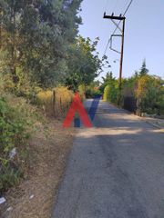 Οικόπεδο 5.000 τ.μ. για πώληση, Εύβοια, Κύμη-thumb-6