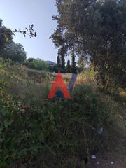Οικόπεδο 5.000 τ.μ. για πώληση, Εύβοια, Κύμη-thumb-7