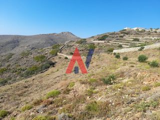 Αγροτεμάχια 5.350 τ.μ. για πώληση