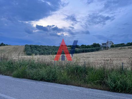 Αγροτεμάχια 6.000 τ.μ. πρός πώληση