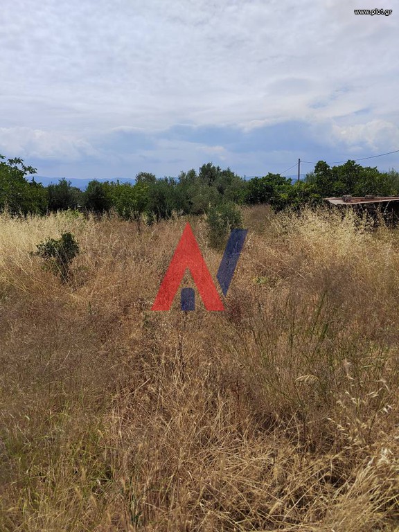 Οικόπεδο 100 τ.μ. προς πώληση, Βασιλικό Ληλαντίου