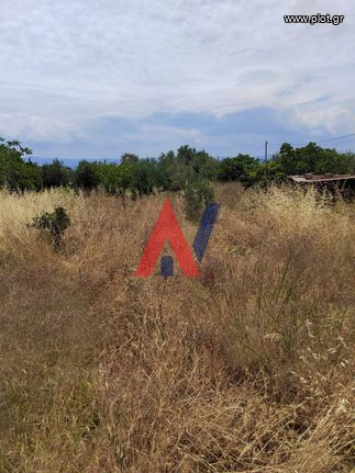 Οικόπεδο 100 τ.μ. για πώληση, Εύβοια, Ληλάντιο
