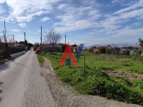 Αγροτεμάχια 500 τ.μ. προς πώληση