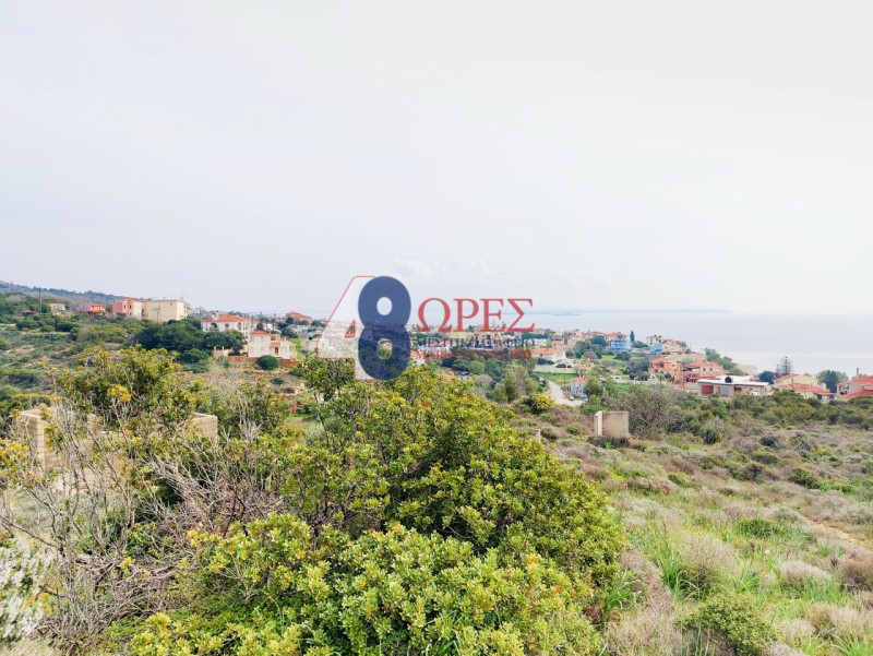 Οικόπεδο 19.455 τ.μ. προς πώληση, Άγιος Μηνάς Χίου