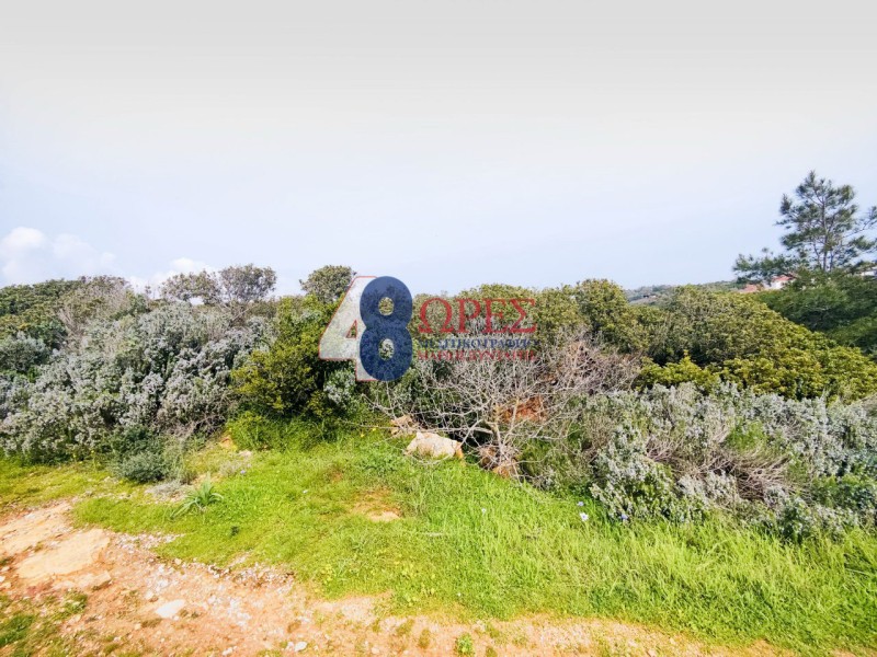 Οικόπεδο 19.455 τ.μ. προς πώληση, Άγιος Μηνάς Χίου