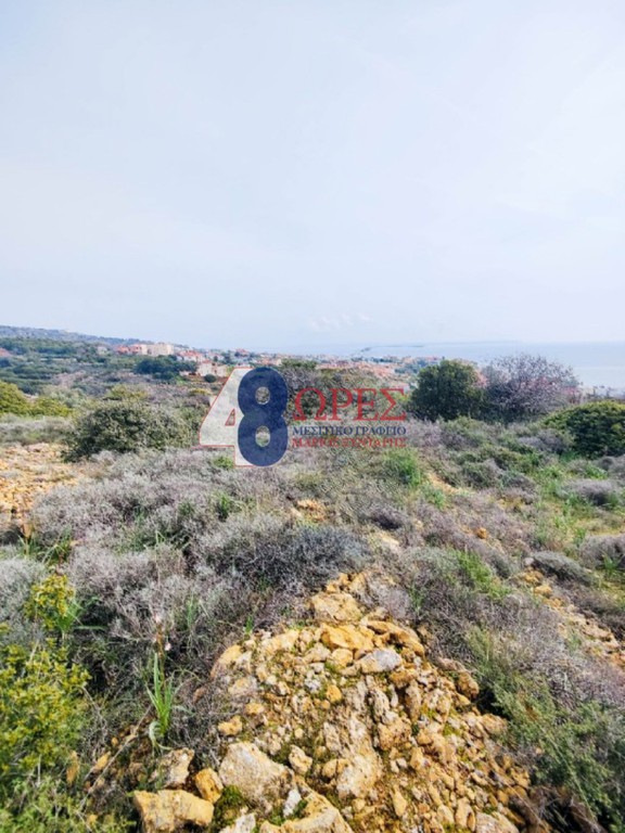 Οικόπεδο 19.455 τ.μ. προς πώληση, Άγιος Μηνάς Χίου