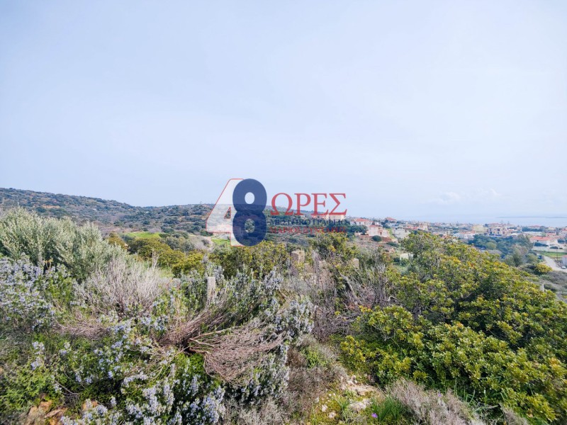 Οικόπεδο 19.455 τ.μ. προς πώληση, Άγιος Μηνάς Χίου