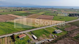 Αγροτεμάχια 5.000 τ.μ. για πώληση, Μεσσηνία, Μεσσήνη-thumb-9