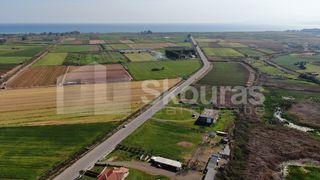 Αγροτεμάχια 5.000 τ.μ. για πώληση, Μεσσηνία, Μεσσήνη-thumb-15