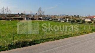 Αγροτεμάχια 5.000 τ.μ. για πώληση, Μεσσηνία, Μεσσήνη-thumb-7