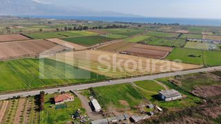 Αγροτεμάχια 5.000 τ.μ. για πώληση, Μεσσηνία, Μεσσήνη-thumb-25