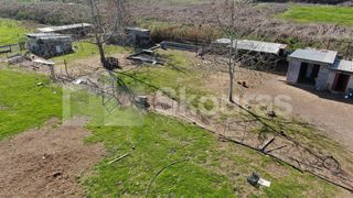 Αγροτεμάχια 5.000 τ.μ. για πώληση, Μεσσηνία, Μεσσήνη-thumb-21