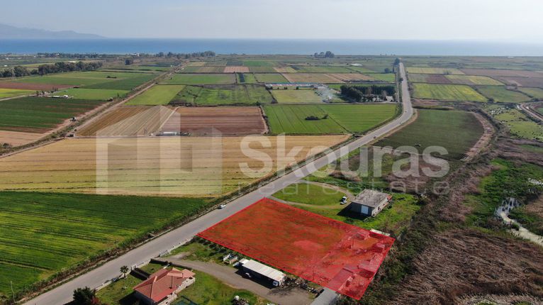 Αγροτεμάχια 5.000 τ.μ. για πώληση, Μεσσηνία, Μεσσήνη