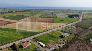 Αγροτεμάχια 5.000 τ.μ. για πώληση, Μεσσηνία, Μεσσήνη-thumb-4