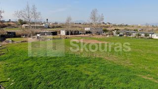 Αγροτεμάχια 5.000 τ.μ. για πώληση, Μεσσηνία, Μεσσήνη-thumb-19