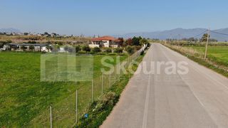 Αγροτεμάχια 5.000 τ.μ. για πώληση, Μεσσηνία, Μεσσήνη-thumb-11