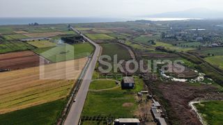 Αγροτεμάχια 5.000 τ.μ. για πώληση, Μεσσηνία, Μεσσήνη-thumb-12