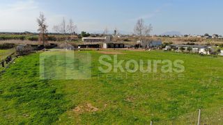 Αγροτεμάχια 5.000 τ.μ. για πώληση, Μεσσηνία, Μεσσήνη-thumb-10