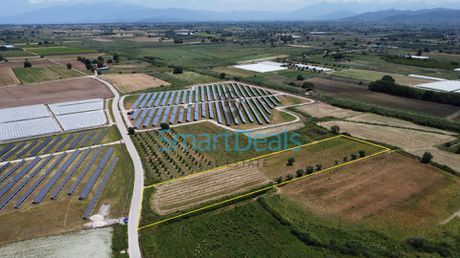 Αγροτεμάχια 7.202,52τ.μ. για πώληση-Μόβρη