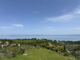 Αγροτεμάχια 4.300 τ.μ. προς πώληση
