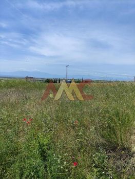 Αγροτεμάχια 6.200τ.μ. για πώληση-Μίκρα » Κέντρο