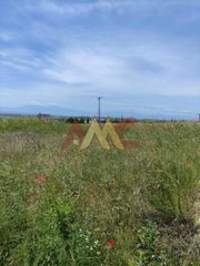 Αγροτεμάχια 6.200 τ.μ. για πώληση