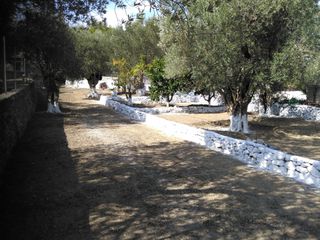 Οικόπεδο 560 τ.μ. για πώληση, Ν. Λέσβου, Λέσβος - Μυτιλήνη-thumb-2