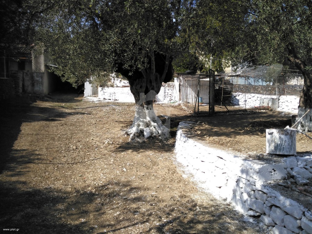 Οικόπεδο 560 τ.μ. προς πώληση, Αλυφαντά