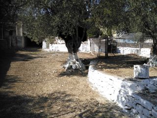 Οικόπεδο 560 τ.μ. για πώληση, Ν. Λέσβου, Λέσβος - Μυτιλήνη-thumb-3