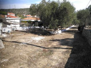 Οικόπεδο 560 τ.μ. για πώληση, Ν. Λέσβου, Λέσβος - Μυτιλήνη-thumb-5