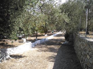 Οικόπεδο 560 τ.μ. για πώληση, Ν. Λέσβου, Λέσβος - Μυτιλήνη-thumb-6